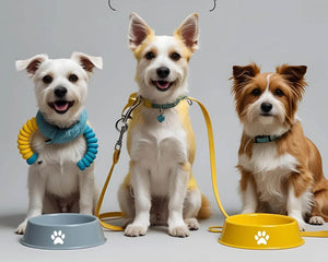Pet Supplies - zapcart