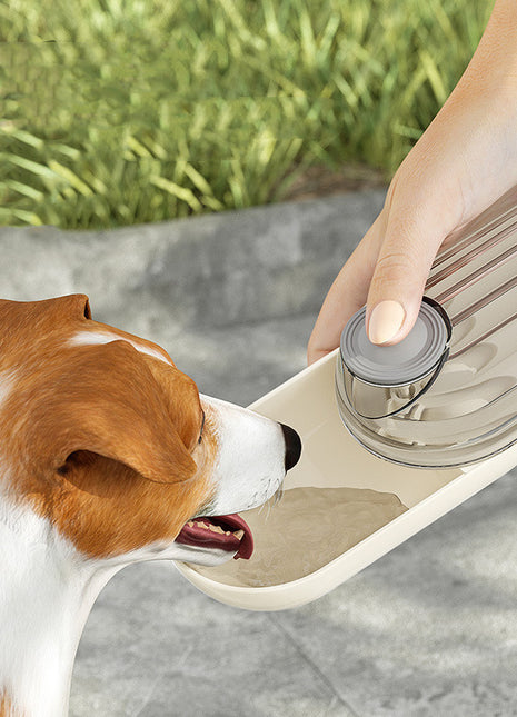2 In 1 Pet Water Cup Segment Design Green Dog Walking Portable Drinking Cup Dog Feeding Supplies Pet Supplies Dog Walking Water Feeder Pets Products