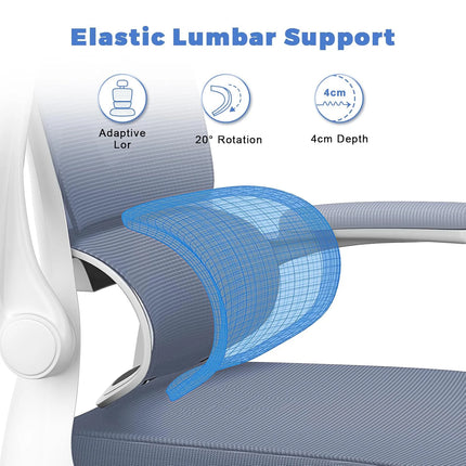 Ergonomic Office Chair with Lumbar Support, Home Office Desk Computer Chairs Adjustable Headrest and Flip-up Armrests by zapcart