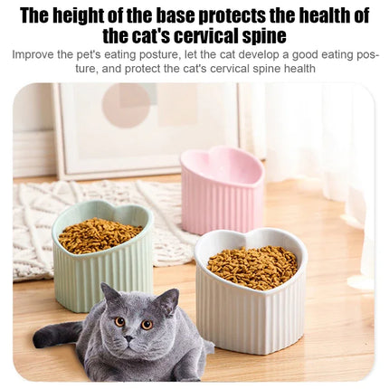Choice Elevated Cat Bowl Tilted Anti Slip For Cats Kittens by zapcart