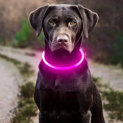 ZhejiangChoice LED Dog Collar Anti Lost Visible Pet Owners by zapcart
