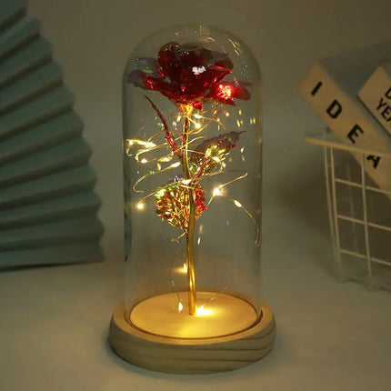 Forever Rose LED In Glass Dome Gift For Valentines Day by zapcart