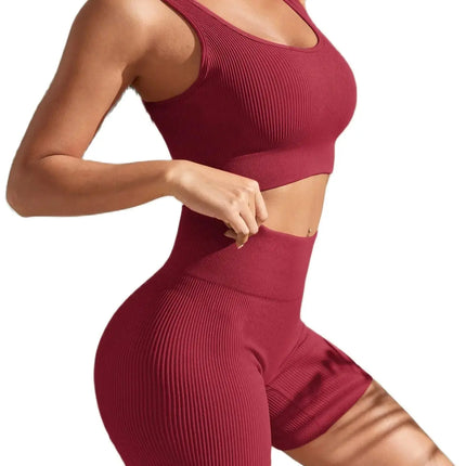 Shanjinxiu Women Seamless Quick Dry Yoga Set High Waist by zapcart