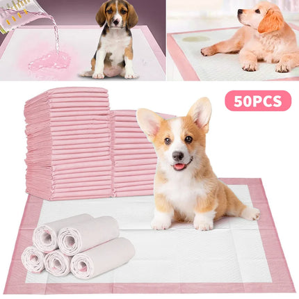 Guangdong Pet Diapers For Puppies 50pc Pads Quick Dry by zapcart