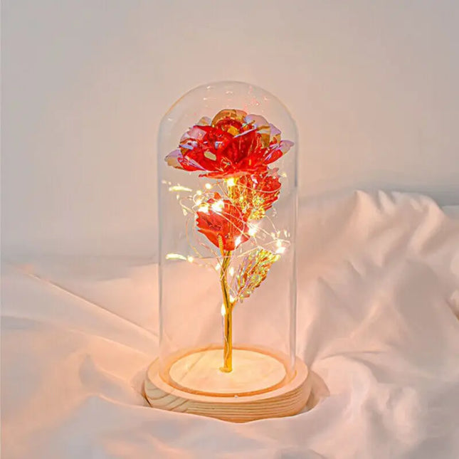 Forever Rose LED In Glass Dome Gift For Valentines Day by zapcart
