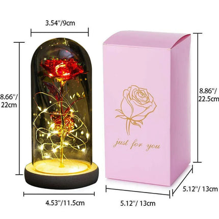 Forever Rose LED In Glass Dome Gift For Valentines Day by zapcart