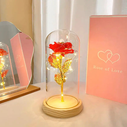 Forever Rose LED In Glass Dome Gift For Valentines Day by zapcart