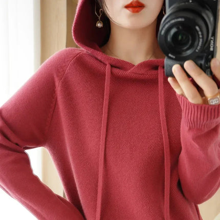Korean Hooded Sweater Women Warm Knit Pullover Cozy Casual by zapcart