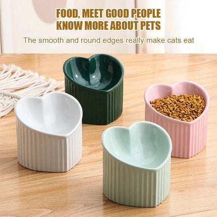 Choice Elevated Cat Bowl Tilted Anti Slip For Cats Kittens by zapcart