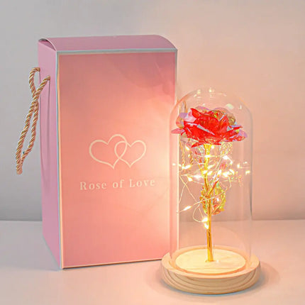 Forever Rose LED In Glass Dome Gift For Valentines Day by zapcart