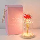 Forever Rose LED In Glass Dome Gift For Valentines Day by zapcart