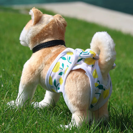 CN ZhejiangChoice Female Dog Diapers Washable Leakproof by zapcart