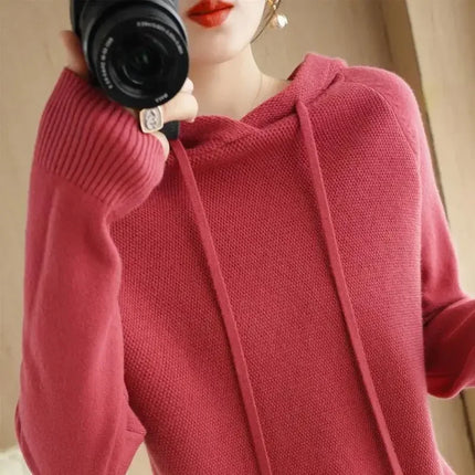 Korean Hooded Sweater Women Warm Knit Pullover Cozy Casual by zapcart