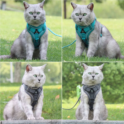 ZhejiangChoice Padded Small Dog Harness and Leash Set by zapcart