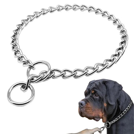 GuangdongChoice Stainless Steel Slip Chain Collar For Dogs by zapcart