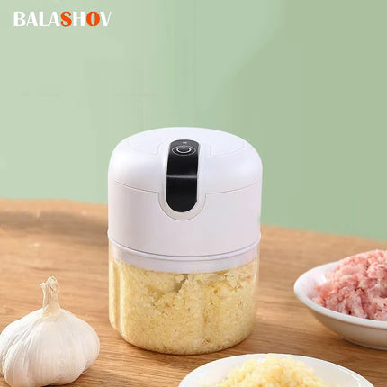 Balashov Mini Electric Mixer USB Cordless Chopper Home Cooks by zapcart