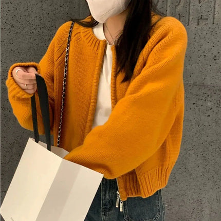 Lucyever Women Knit Cardigan Autumn Winter Cozy Loose Fit by zapcart