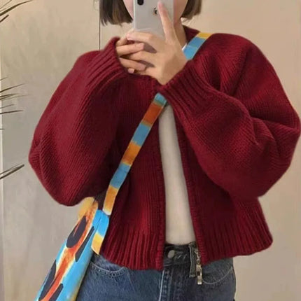 Lucyever Women Knit Cardigan Autumn Winter Cozy Loose Fit by zapcart