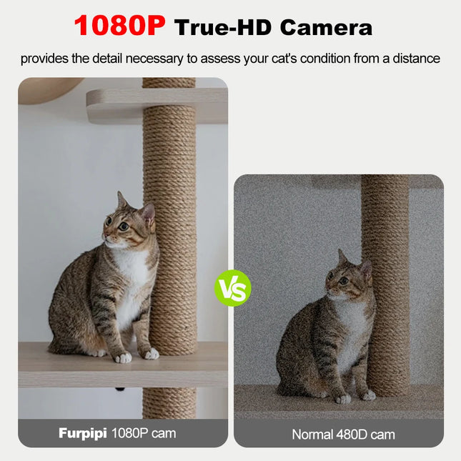 Furpipi Smart Cat Feeder 8L 1080P HD Camera App Control