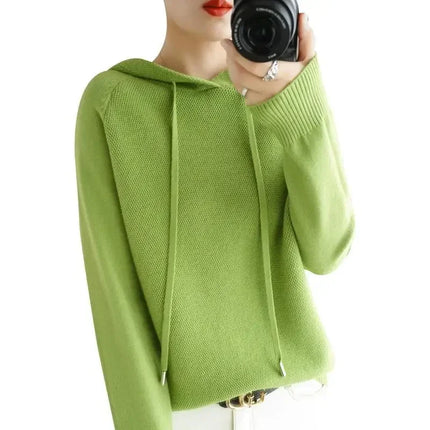 Korean Hooded Sweater Women Warm Knit Pullover Cozy Casual by zapcart