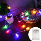 KIKIELF LED Star Fairy Lights Outdoor Garden Warm White by zapcart