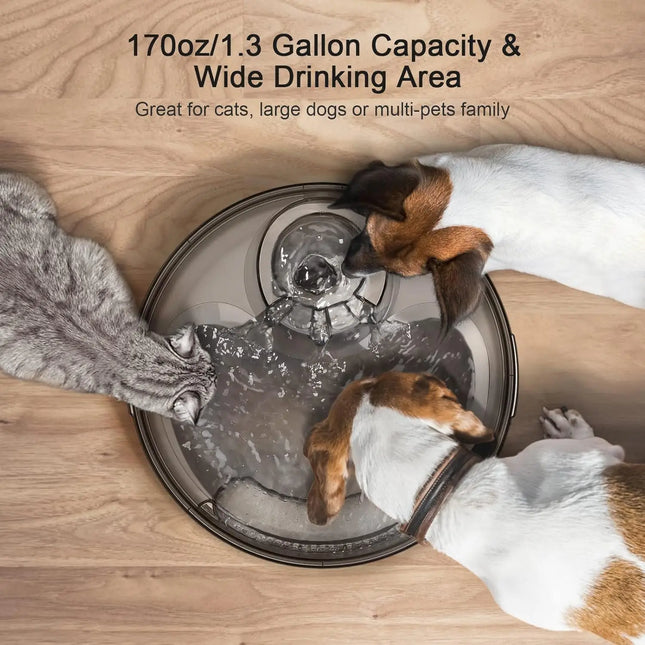 NPET DF10 Dog Water Fountain 5L Auto Dispenser For Pets