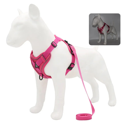ZhejiangChoice Padded Small Dog Harness and Leash Set by zapcart