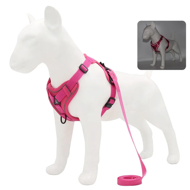 ZhejiangChoice Padded Small Dog Harness and Leash Set by zapcart