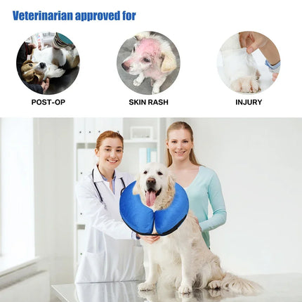GuangdongChoice Soft Inflatable Dog Collar For Pets by zapcart