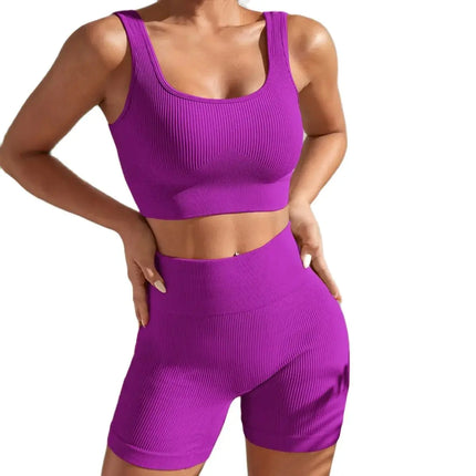 Shanjinxiu Women Seamless Quick Dry Yoga Set High Waist by zapcart