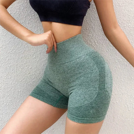 Womens Gym Shorts High Elasticity Absorbent Fitness Wear by zapcart