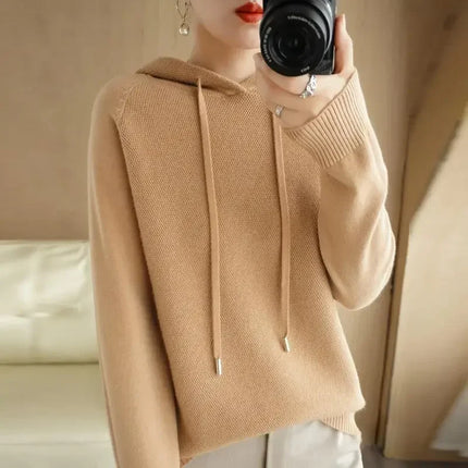 Korean Hooded Sweater Women Warm Knit Pullover Cozy Casual by zapcart