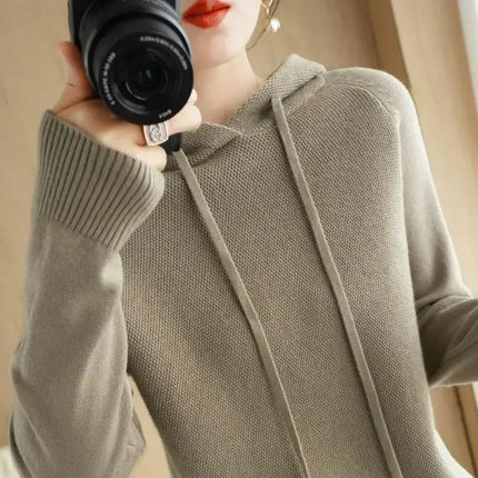 Korean Hooded Sweater Women Warm Knit Pullover Cozy Casual by zapcart