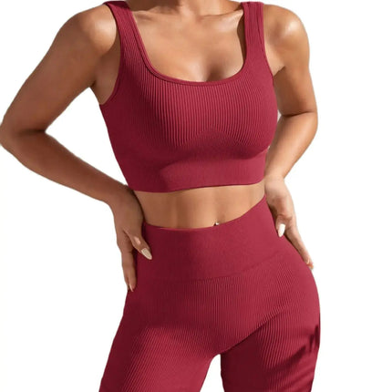 Shanjinxiu Women Seamless Quick Dry Yoga Set High Waist by zapcart