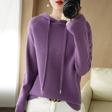 Korean Hooded Sweater Women Warm Knit Pullover Cozy Casual by zapcart