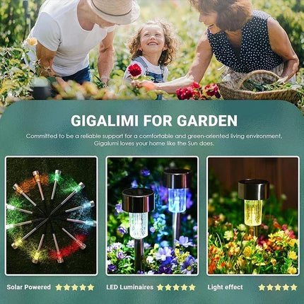 ZODOLAMP Solar Garden Lights Waterproof Pathway for Yard by zapcart