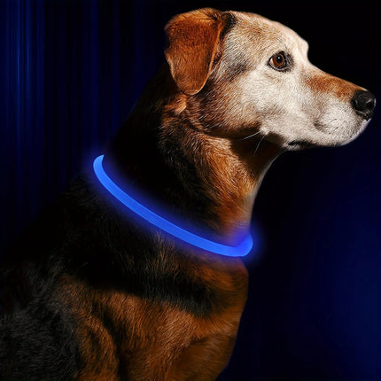 ZhejiangChoice LED Dog Collar Anti Lost Visible Pet Owners by zapcart