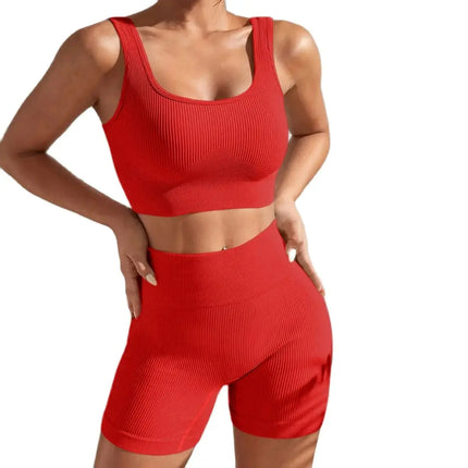 Shanjinxiu Women Seamless Quick Dry Yoga Set High Waist by zapcart