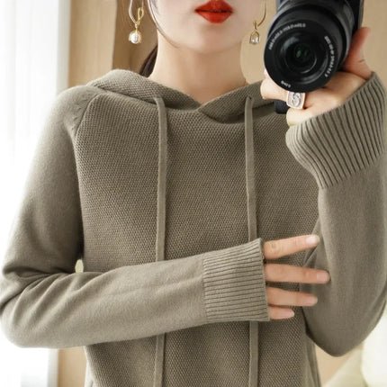 Korean Hooded Sweater Women Warm Knit Pullover Cozy Casual by zapcart