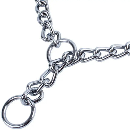 GuangdongChoice Stainless Steel Slip Chain Collar For Dogs by zapcart