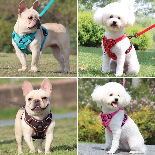 ZhejiangChoice Padded Small Dog Harness and Leash Set by zapcart