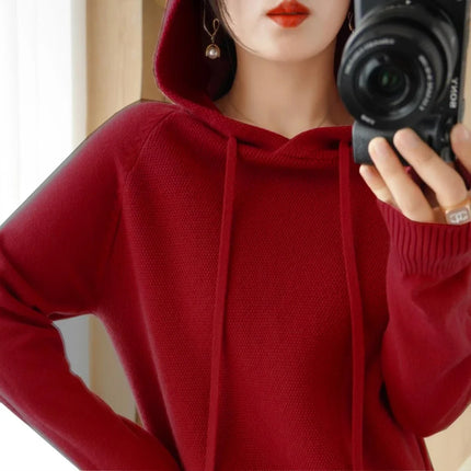 Korean Hooded Sweater Women Warm Knit Pullover Cozy Casual by zapcart