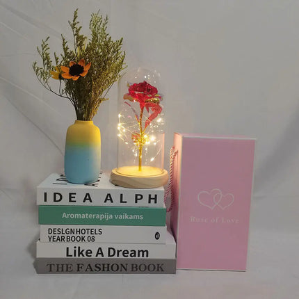 Forever Rose LED In Glass Dome Gift For Valentines Day by zapcart
