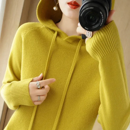 Korean Hooded Sweater Women Warm Knit Pullover Cozy Casual by zapcart