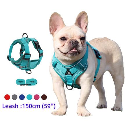 ZhejiangChoice Padded Small Dog Harness and Leash Set by zapcart