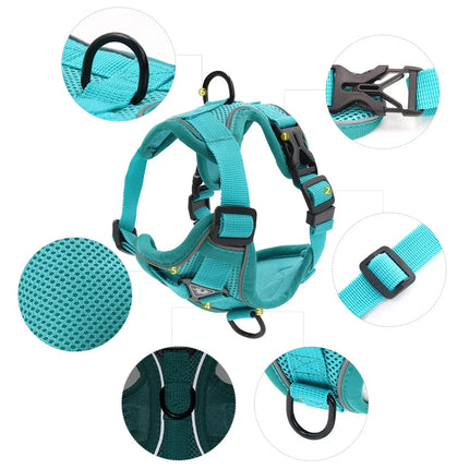 ZhejiangChoice Padded Small Dog Harness and Leash Set by zapcart