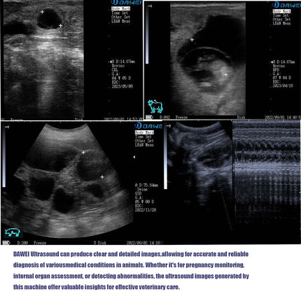 DAWEI Portable Veterinary Ultrasound Scanner for Farmers by zapcart