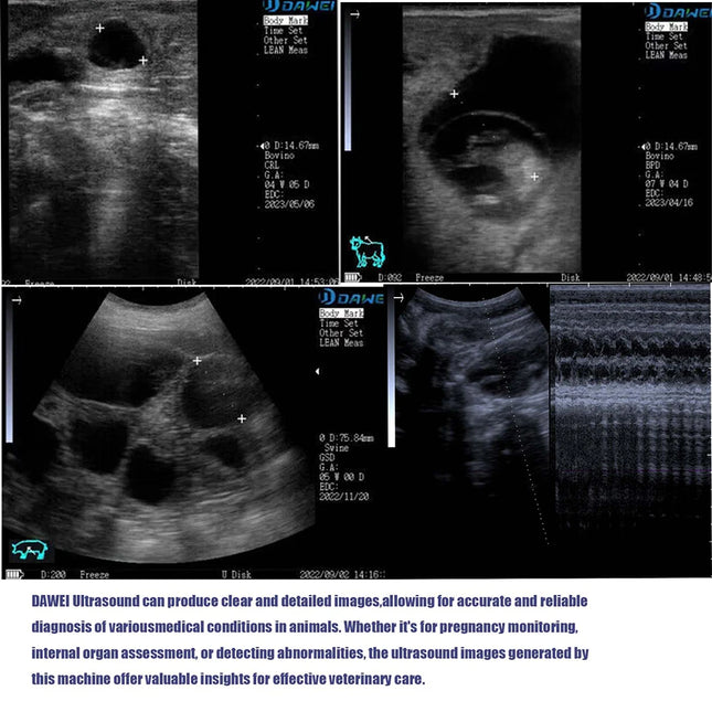 DAWEI Portable Veterinary Ultrasound Scanner for Farmers by zapcart