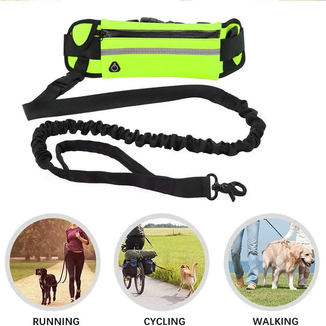 Dog Running Waist Leash – Nylon Retractable Leash with Waist Bag & Reflective Belt by zapcart