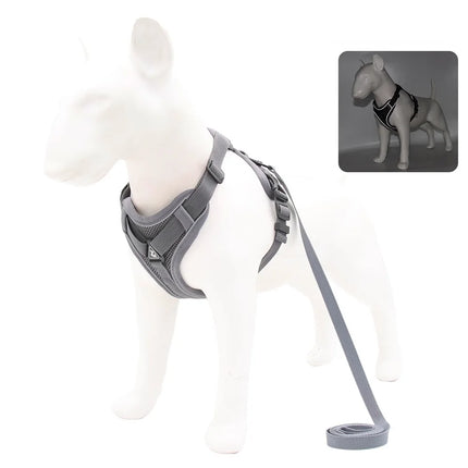 ZhejiangChoice Padded Small Dog Harness and Leash Set by zapcart